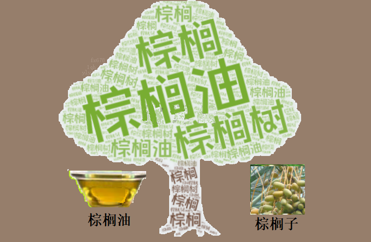 【XM官网】MPOB数据倒计时!棕榈油技术面发出“黄牌警告”?